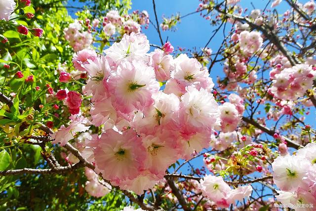 KY.COM|原创最近10年世界六大门将评选,排第一的这位实至名归(图2) KY.COM|原创最近10年世界六大门将评选,排第一的这位实至名归(图2)