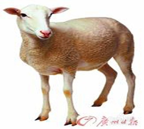 kycom:那些塞进世界名画里的猫咪(图2) kycom:那些塞进世界名画里的猫咪(图2)