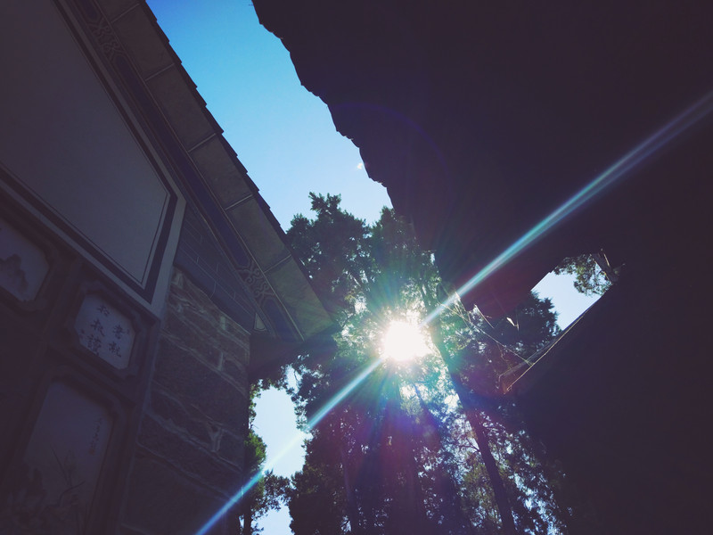 KY.COM-迪帅:罗马依靠整体踢球 争取抓住利物浦的弱点(图3) KY.COM-迪帅:罗马依靠整体踢球 争取抓住利物浦的弱点(图3)