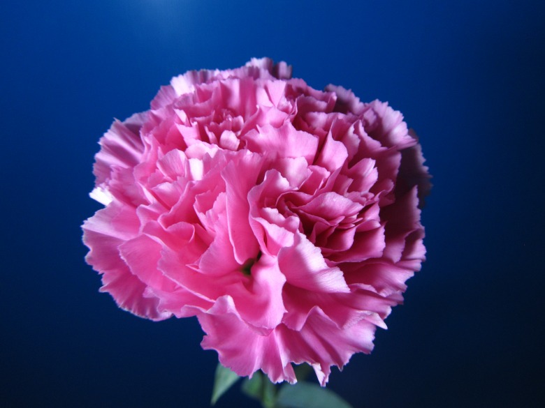 KY.COM-
意甲赛前嘚吧嘚：AC米兰VS拉齐奥、维罗纳VS国际米兰(图8)