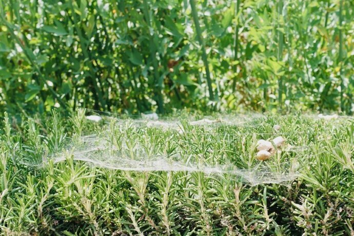 甘肃：天水市“两城”建设完成投资20多亿元|ky开元集团