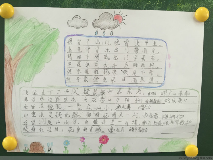 ‘KY.COM’青岛市启动建设森林城市工作