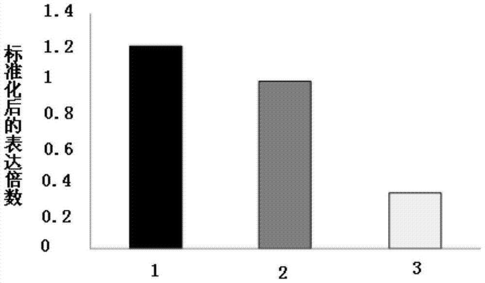 【KY.COM】意甲-沙拉维斩杀旧主托蒂神传球 罗马3-1米兰第3(图2) 【KY.COM】意甲-沙拉维斩杀旧主托蒂神传球 罗马3-1米兰第3(图2)