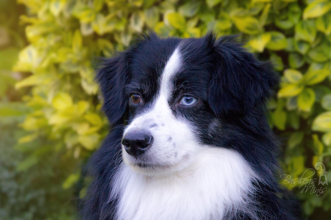 慕田峪规划七景区保护明长城精华‘ky开元集团’(图2)