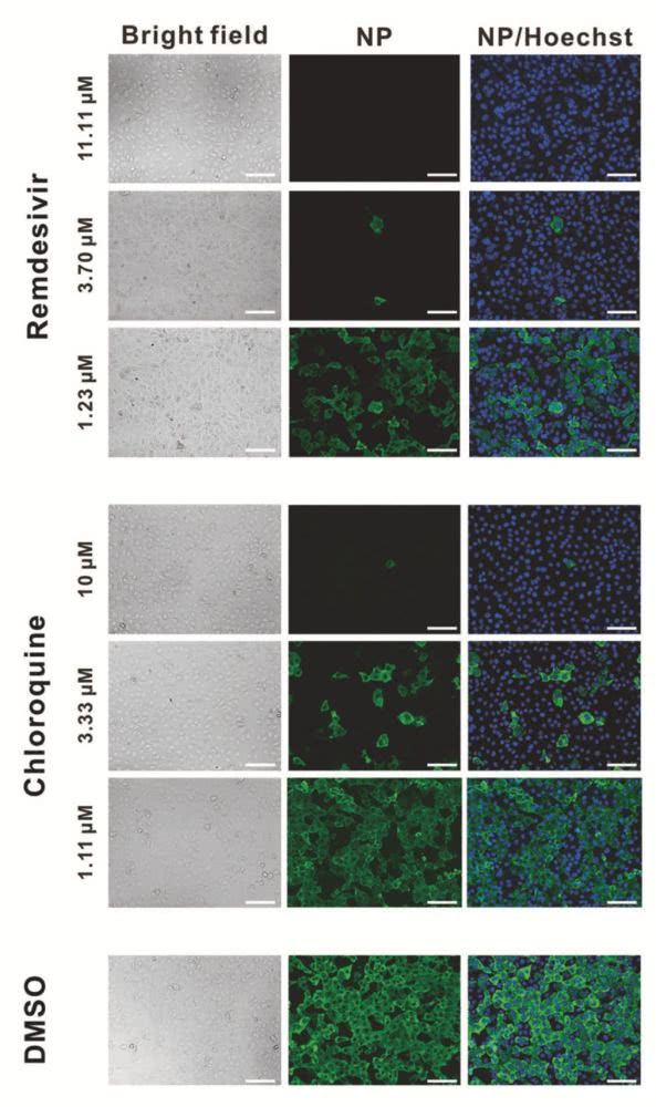 为满足线上传播需求，宜家推出白色动态“窗户”LOGO：kycom(图1)