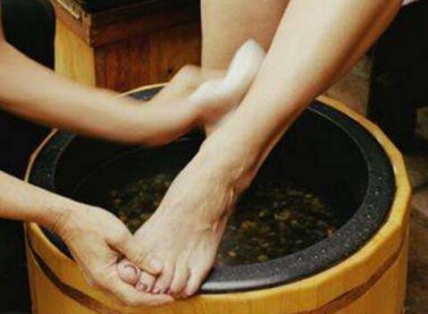 北冰洋冰层变薄致浮游植物爆发-ky开元集团(图2) ky开元集团