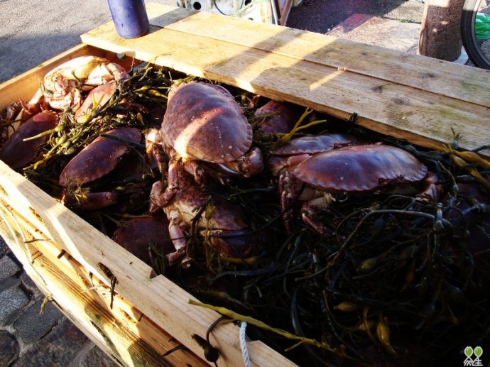 威尼斯建筑双年展奖项巴林木屋得金狮奖【ky开元集团】(图2)