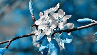 ky开元集团：
聊聊室内设计师这个行业！(图2)