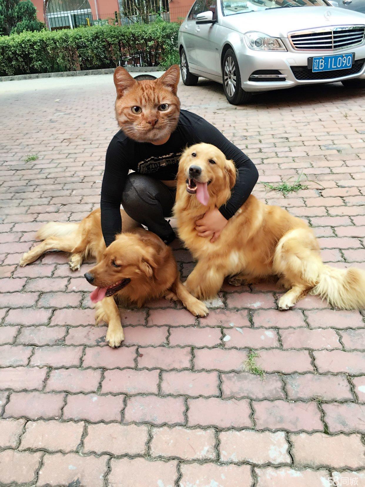 让视频制作变简朴？这几款APP助你一臂之力-ky开元集团(图3)