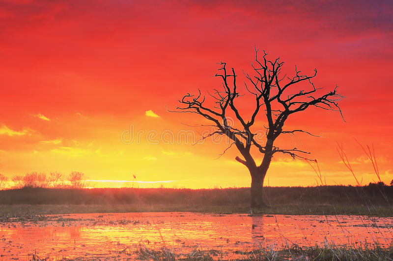 【KY.COM】
靖江那里有广告设计培训学校？靖江那里专业广