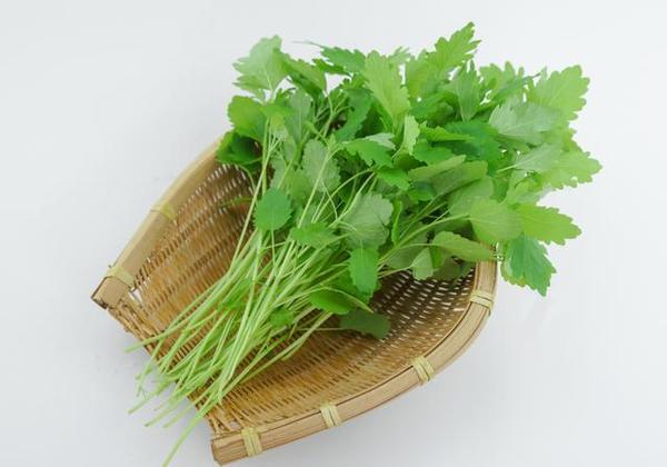 尤文不卖博格巴也买得起伊瓜因 9000万分2年支付：KY.C