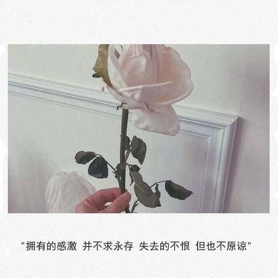 
装修公司如何找到客户|ky开元集团