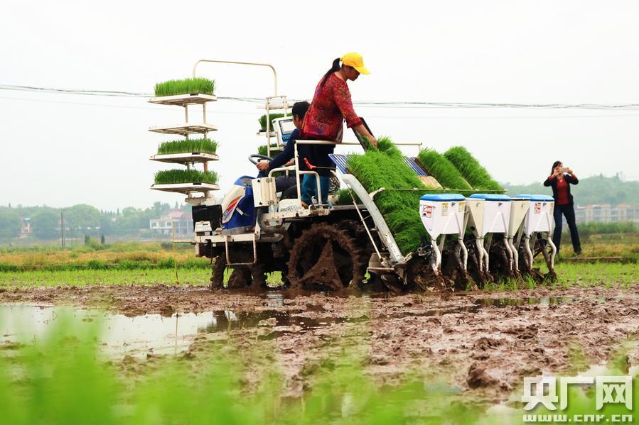 ‘ky开元集团’青岛规划局答复经适房画窗：责令建设单位立即整