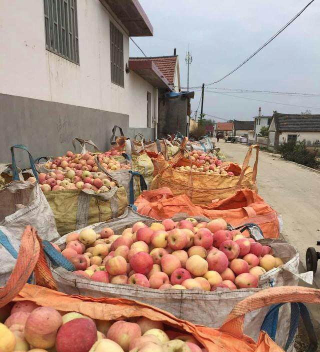 kycom|2030年漂浮在海面上的太阳能度假村