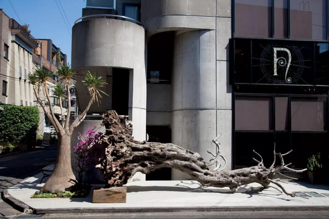 欧冠-博努奇妙传迪巴拉戴帽 尤文3-0豪取两连胜_ky开元集