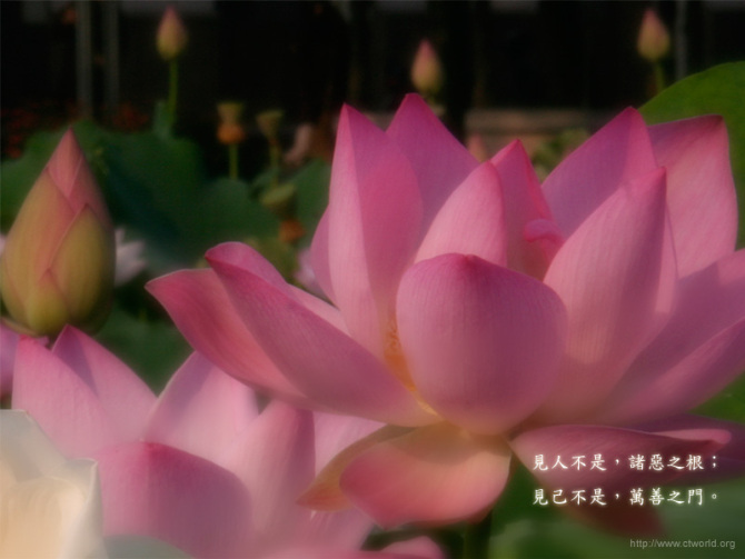 kycom|2019年第18届世界游泳锦标赛LOGO和吉祥物