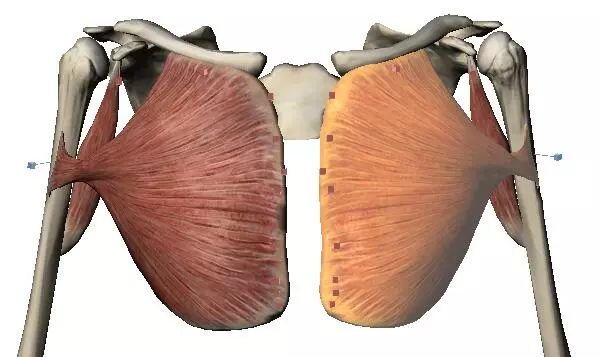 原创巴萨将错过这个夏天关键的转会目标，除非能够提供令他满意的合同“ky开元集团”(图3)
