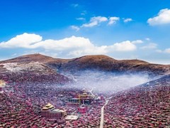 【kycom】德克萨斯州达拉斯的贝洛公园景观设计