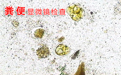 ky开元集团-秸秆乙醇关键技术通过科技部专家组的验收(图3)