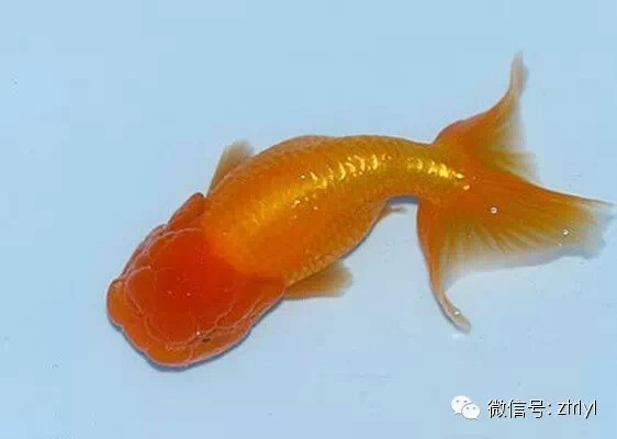 KY.COM：加强设备设施保养保安全(图2)