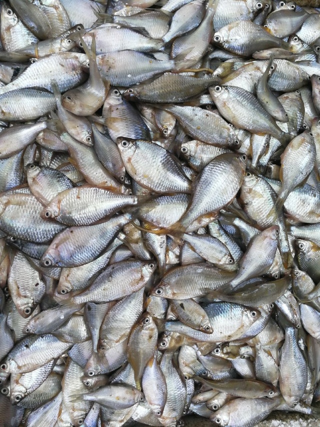 上海石化实施低成本战略“ky开元集团”(图2) ky开元集团